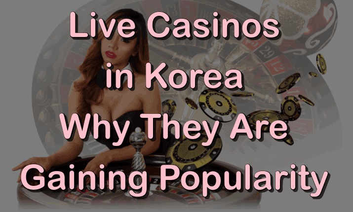 Live Dealer Casinos in Korea